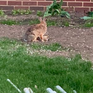 Meet your Posher, Elzbieta